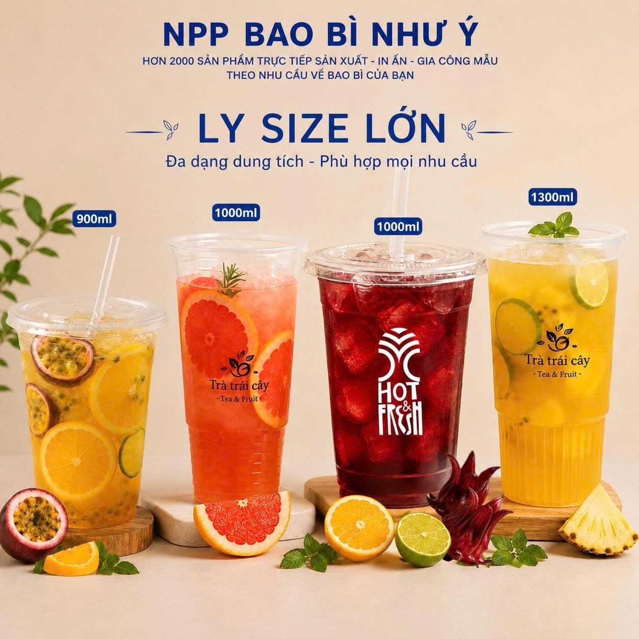 Nhóm lý size lớn