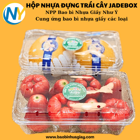 Hộp nhựa PET đựng trái cây 1kg P1000A (JB-330 cái/thùng) | HỘP NHỰA TRÁI CÂY | Mã HHHN147_01 | Tổng kho phân phối đồ dùng 1 lần 1lan.vn