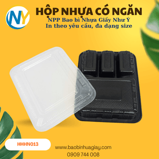 Hộp nhựa HT010 - ảnh 2
