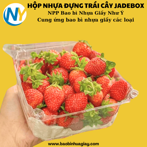 Hộp nhựa PET đựng trái cây P500A (JB-500 cái/thùng) | HỘP NHỰA TRÁI CÂY | Mã HHHN146_01 | Tổng kho phân phối đồ dùng 1 lần 1lan.vn