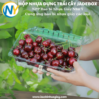 Hộp nhựa PET đựng trái cây 1kg P1000A (JB (Jadebox)-330 cái/thùng) - ảnh 2