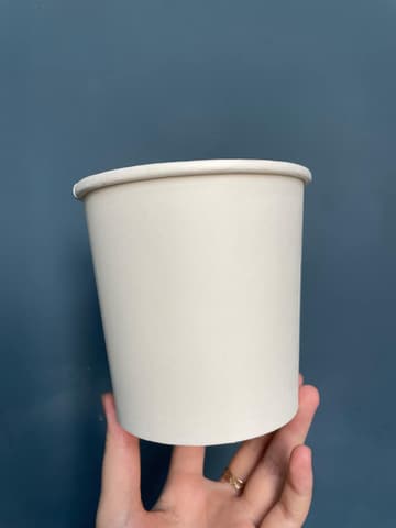 Tô giấy D115 - 750ml (BL)(500 cái/thùng) | TÔ GIẤY - TÔ CHÁO - TÔ PHỞ TÔ ĐỰNG MÓN NƯỚC - NẮP TÔ GIẤY | Mã TPTG002_01_01 | Tổng kho phân phối đồ dùng 1 lần 1lan.vn