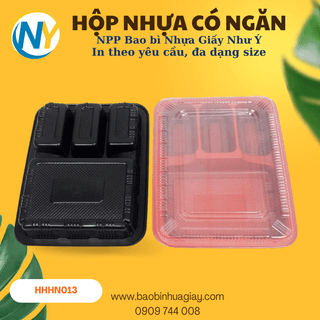 Hộp nhựa HT010 - ảnh 4